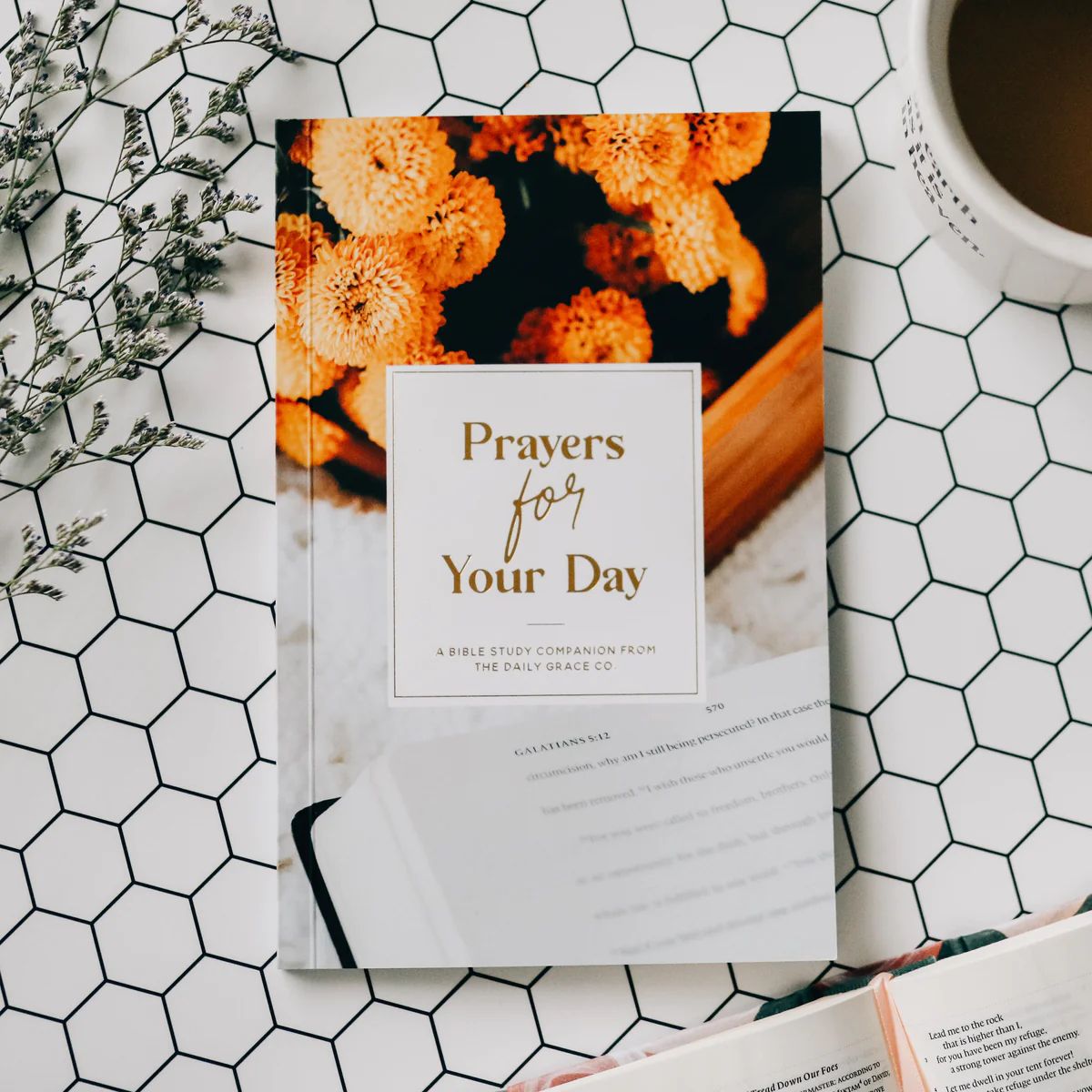 Prayers for Your Day | The Daily Grace Co.