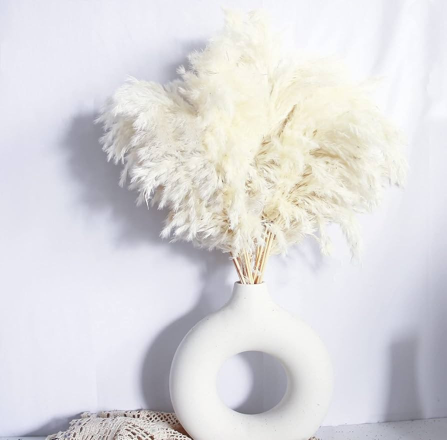 White Pampas Grass for Home Decor - Elegant Boho Decor - Premium Quality Pampas Grass Stems - Per... | Amazon (US)