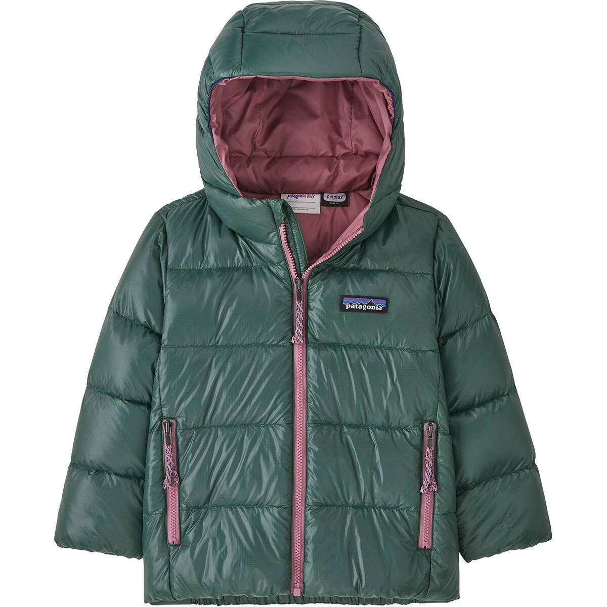 Patagonia Hi-Loft Down Sweater Hoodie - Infants' - Kids | Backcountry