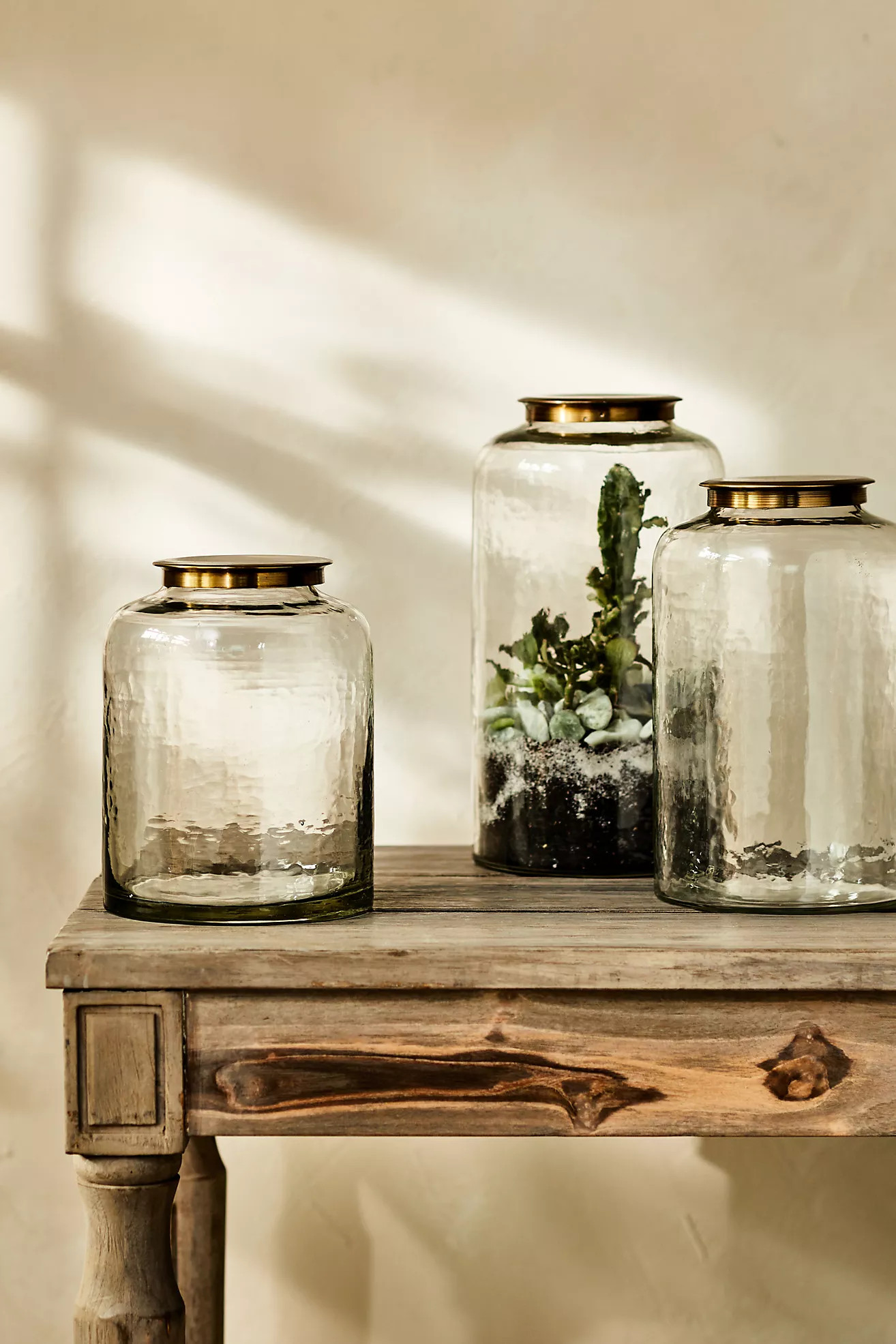 Hammered Glass Terrarium with Lid | Anthropologie (US)