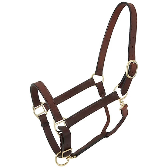 Tough1 Churchill Stable Leather Horse Halter with Snap | Tractor Supply