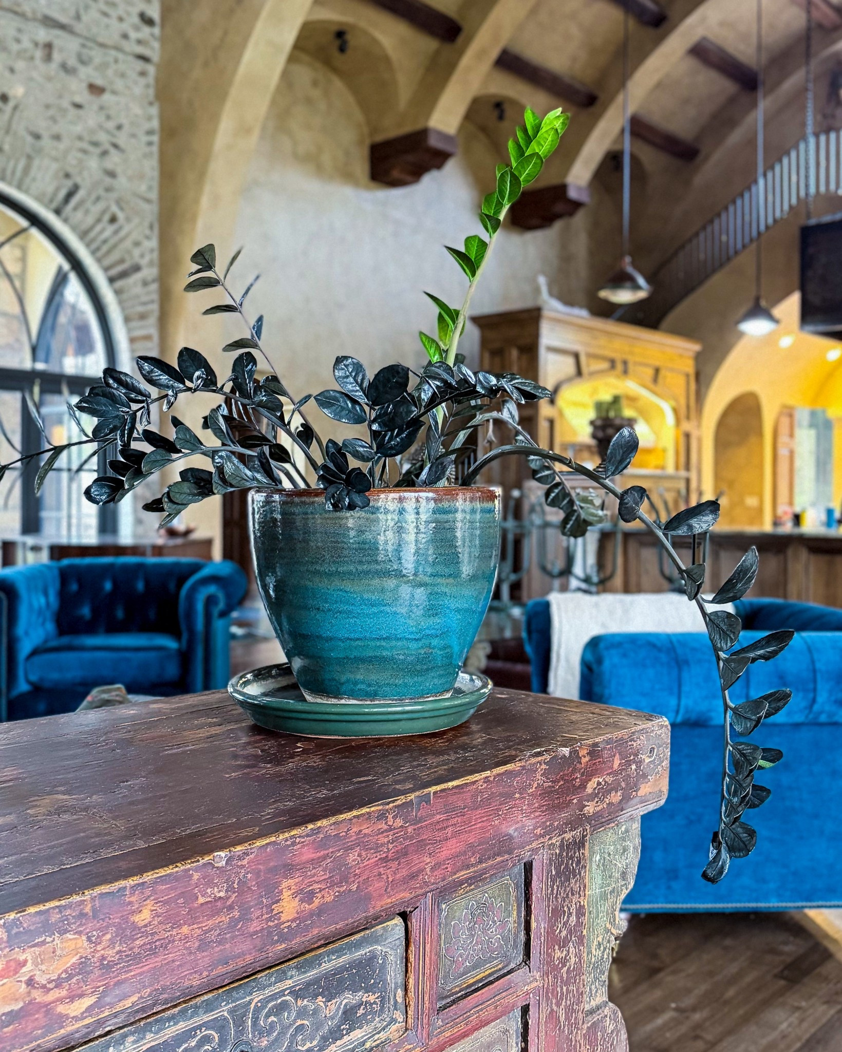 Houseplants and pots, let your houseplants shine and bring you joy during dreary winter months. 

#LTKstorytime #LTKFindsUnder50 #LTKHome