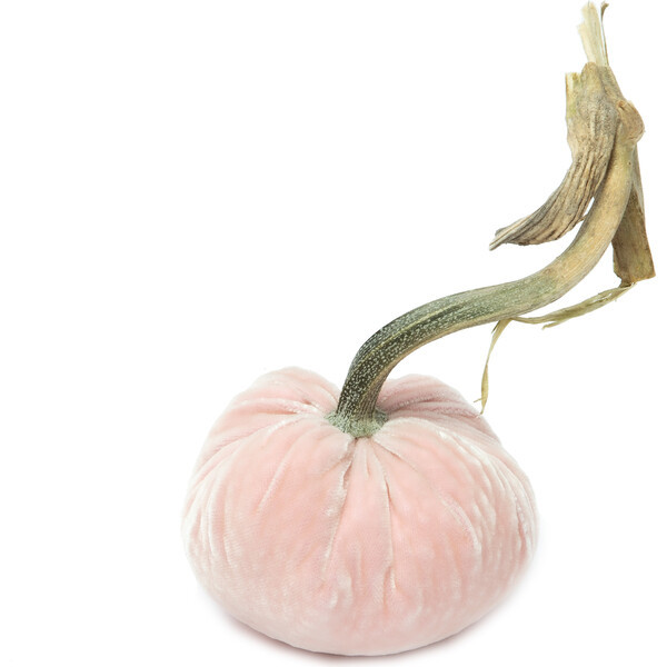 Velvet Pumpkin, Blush | Maisonette