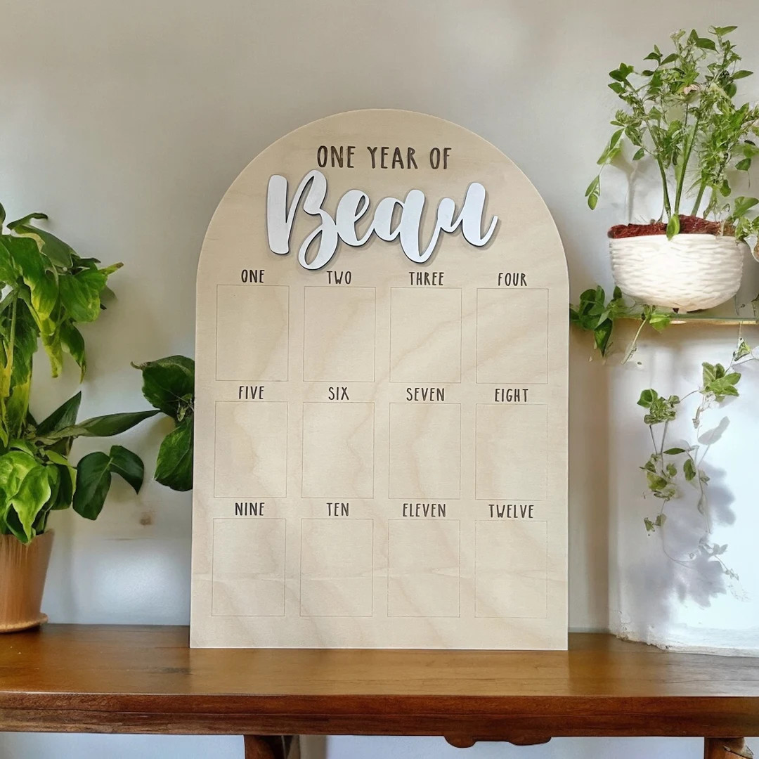 First Year Photo Board, First Year Birthday Board, Milestone Board 1st Birthday, My First Year, 1... | Etsy (US)