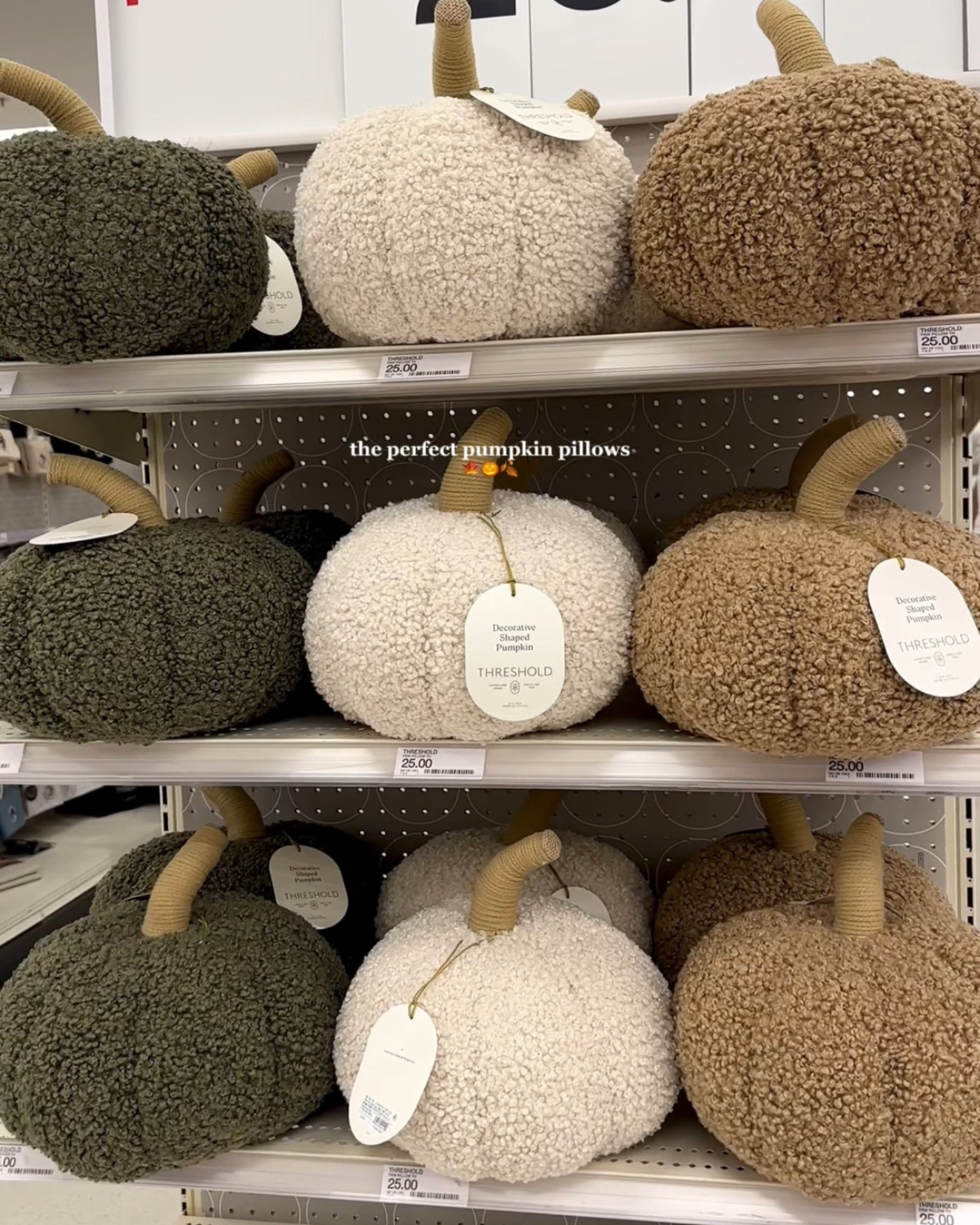 teddy boucle pumpkin pillows! and they’re showing up as only $20 online! 🧡

fall decor, halloween decor, throw pillow, home decor, fall finds, target finds

#LTKSeasonal #LTKHome #LTKFindsUnder50