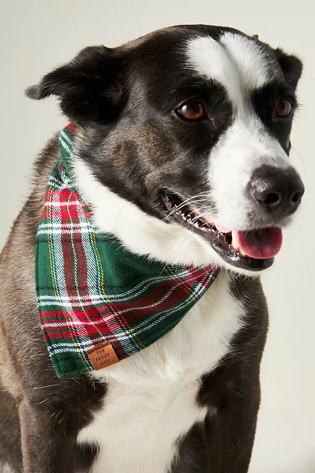 The Foggy Dog Holly Jolly Flannel Bandana | Anthropologie (US)