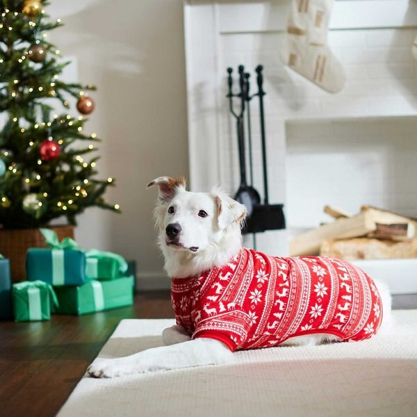 FRISCO Holiday Fair Isle Dog & Cat Cozy Polar Fleece PJs, Medium - Chewy.com | Chewy.com