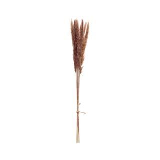 Natural Pampas Grass Bunch by Ashland® | Michaels Stores