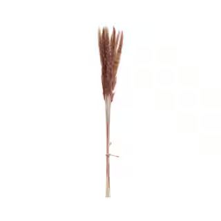 Natural Pampas Grass Bunch by Ashland® | Michaels Stores