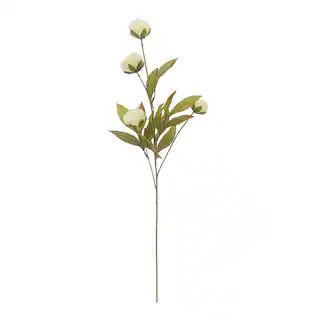 Cream Peony Stem by Ashland® | Floral Stems | Michaels | Michaels Stores