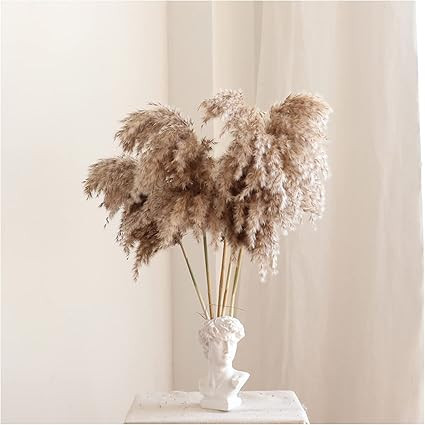 WKHS 15PCS Natural Dried Pampas Grass for Flower Arrangements Wedding Decor, Plumes Large Dry Pam... | Amazon (US)