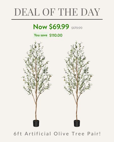 Walmart flash deal! Pair of 6 foot olive trees $70

#LTKhome #LTKsalealert #LTKover40