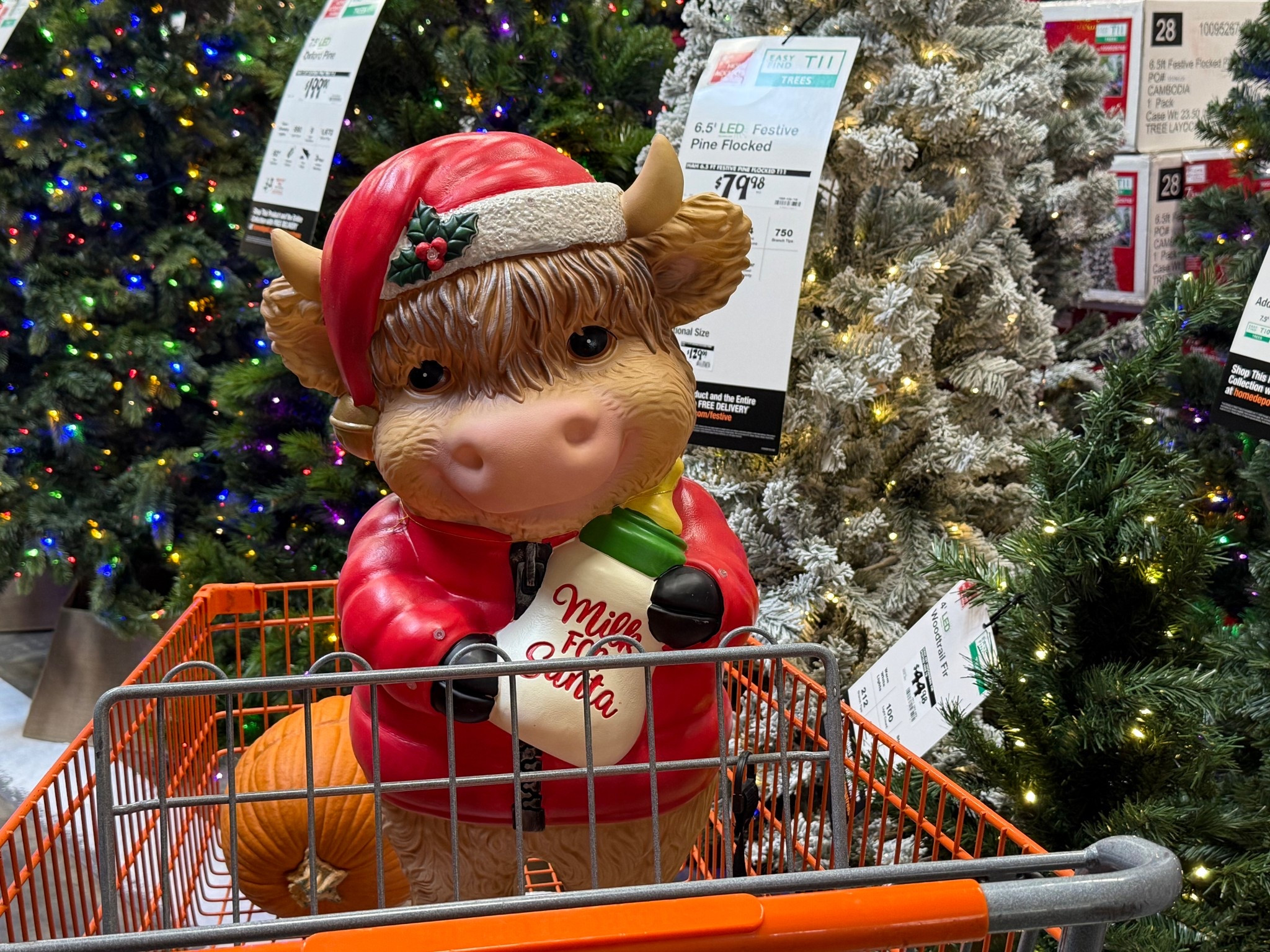 RUN for this guy, oh my gosh, she is so cute! But he’s already flying off the shelves (and it’s only Oct!!) but he’s too cute and I love the price point! So many cute blow molds this year. See my favorites: 

#LTKFindsUnder50 #LTKSeasonal #LTKHome