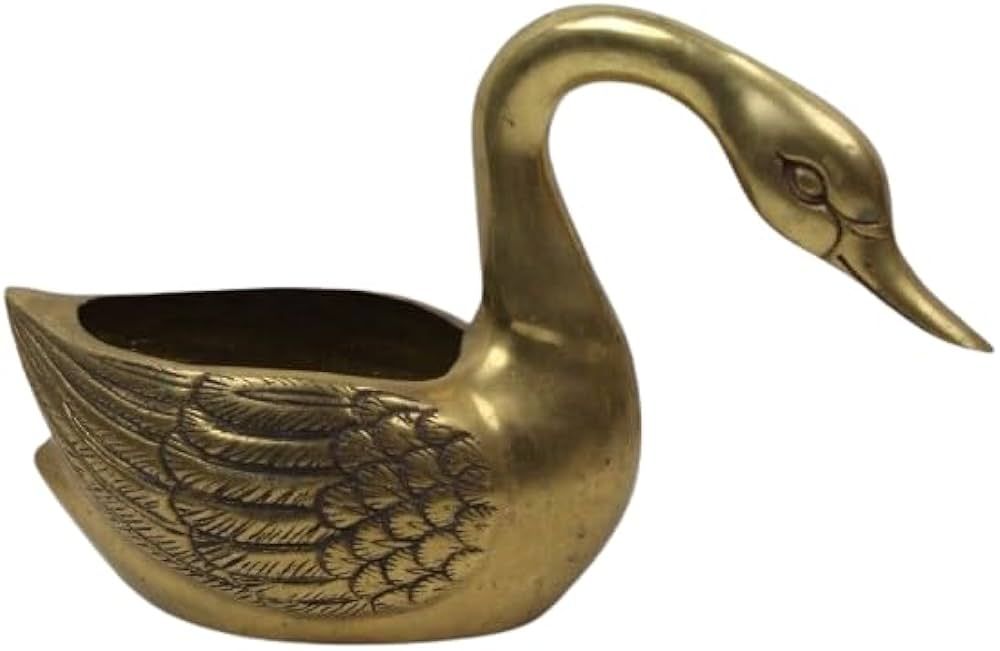 Vintage Brass Metal Duck Planter Indoor & Outdoor Charming Farmhouse Country Decor for Rustic Gar... | Amazon (US)