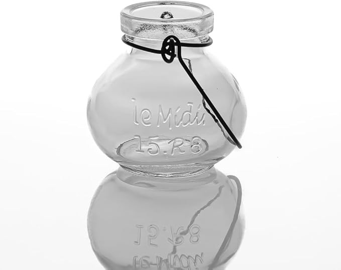 Richland Vintage Jar Mini Hanging Glass Vase Set of 12 | Amazon (US)