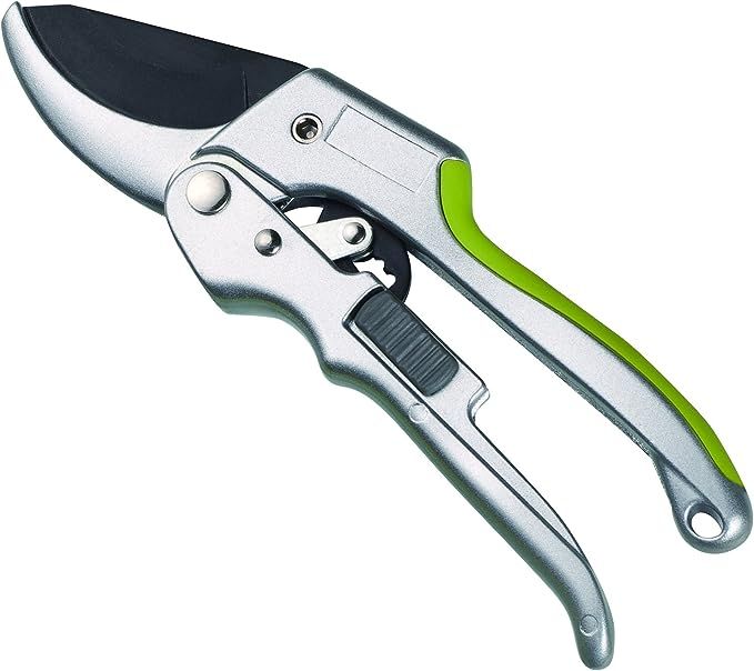 Power Drive Ratchet Anvil Hand Pruning Shears - 5X More Cutting Power Than Conventional Garden Tr... | Amazon (US)