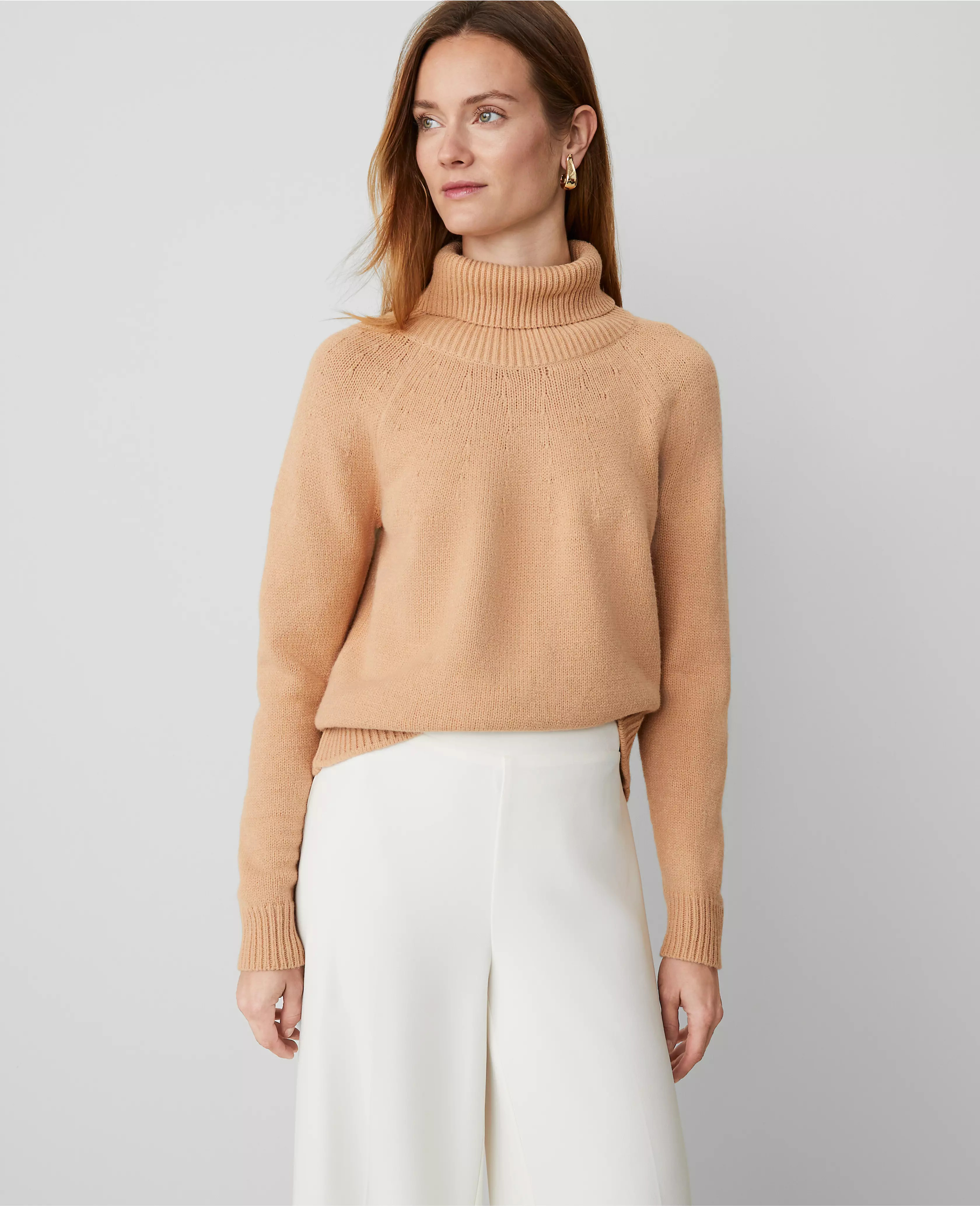 Fold Over Turtleneck Sweater | Ann Taylor (US)