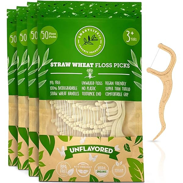 Biodegradable Dental Floss Picks - Natural Plastic Free Handle | Thin Thread Tooth Flossers for Adul | Amazon (US)