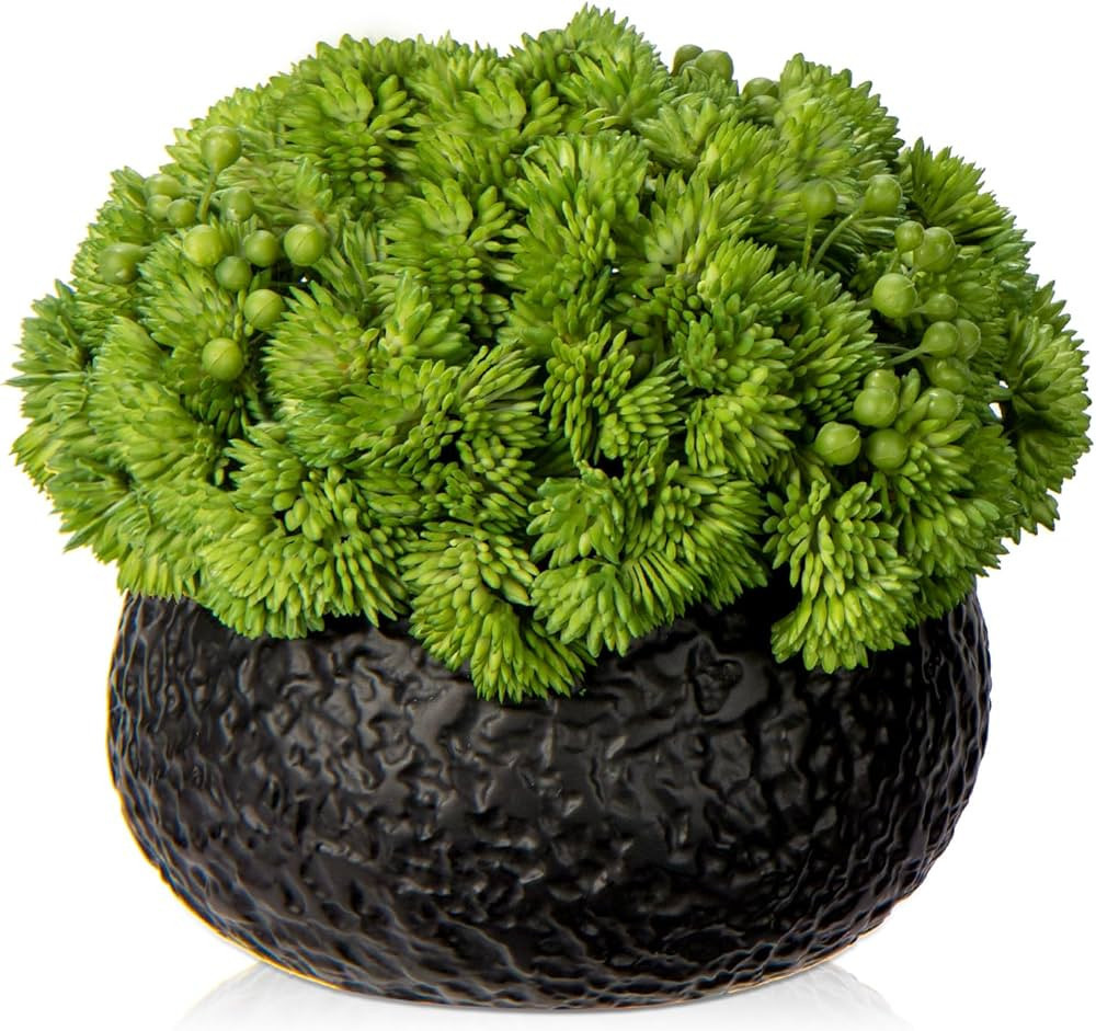 Briful Succulents Plants Artificial in Ceramic Pots Fake Succulent Arrangement with Black Bowl Pl... | Amazon (US)