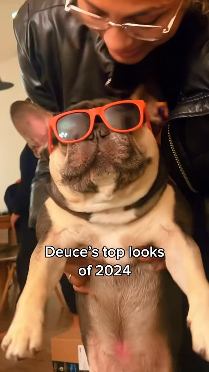 If you love my outfits, you definitely can’t forget about Deuce! His closet is just as versatile and fabulous, trust me! Keep your furry friends fly too 🐾✨

#LTKFindsUnder50 #LTKFamily #LTKStyleTip