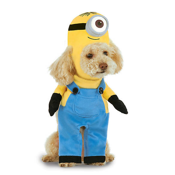 Rubie's Costume Company Minion Stuart Arms Dog Costume | PetSmart