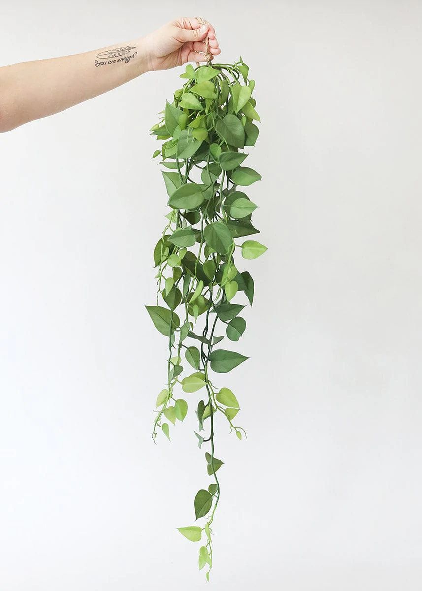 Artificial Plants Hanging Philodendron Bush - 49.5 | Afloral