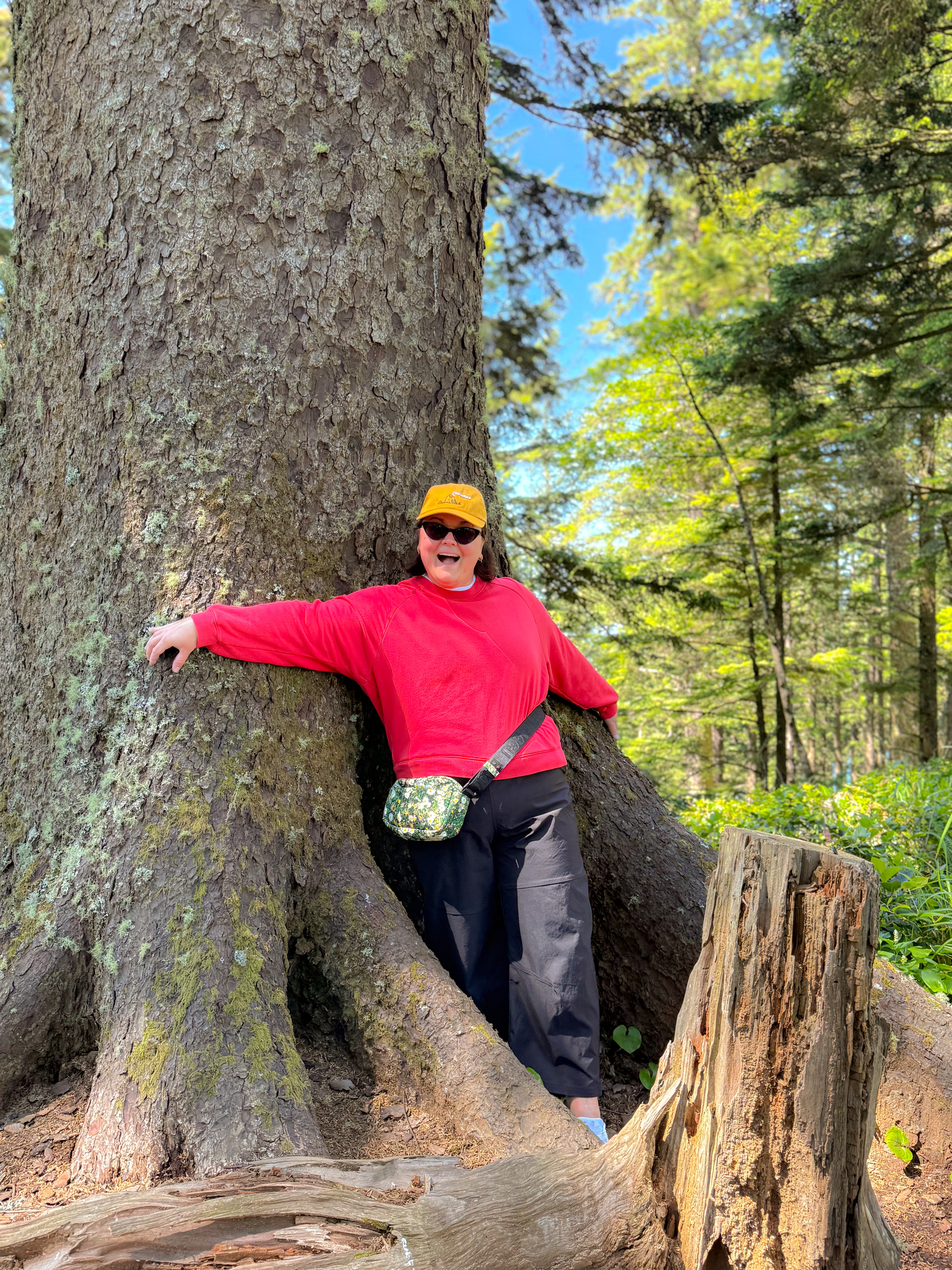 Red sweatshirt, cargo pants, and a floral fanny pack because crossbody bags don't survive scrambling around tree roots. The most "just let me have fun outside" outfit of the whole trip, comfortable enough to climb on a giant tree stump without thinking twice. Forest-bathing, but make it a fit check.
Hashtags

#LTKtravel #LTKfindsunder50 #LTKstyletip #pnwhike #forestwalk #cargopants #fannypack #hikingoutfit #pnwtravel #oregonforest 

 
