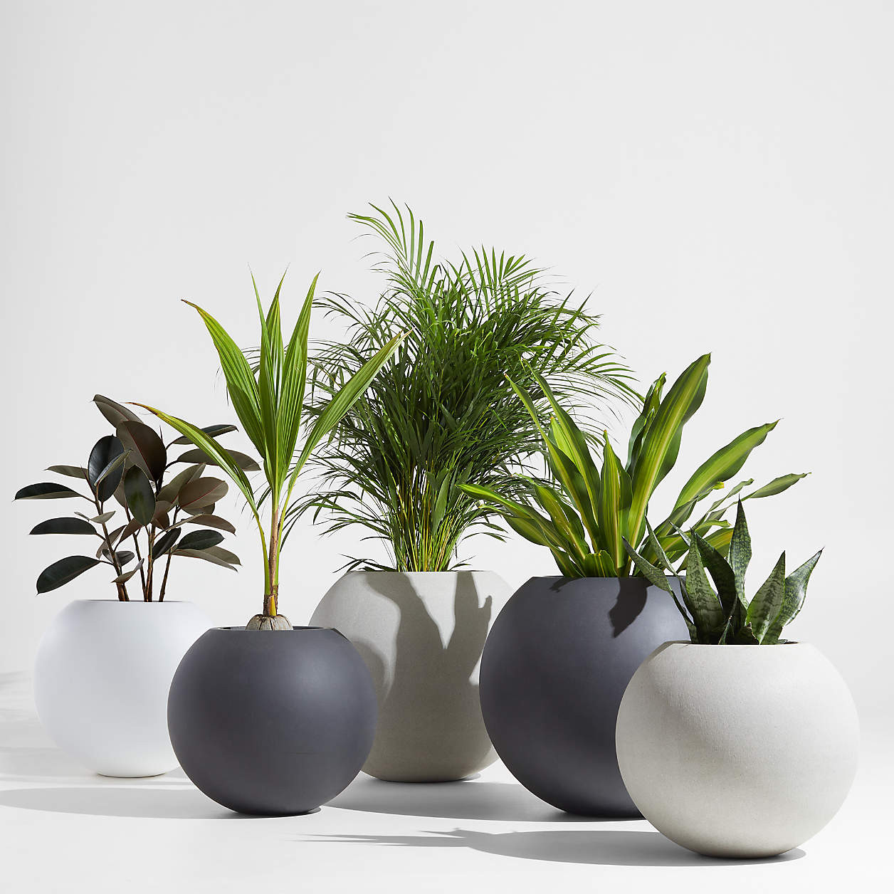 Sphere Small Dark Grey Indoor/Outdoor Planter Pot + Reviews | Crate & Barrel | Crate & Barrel