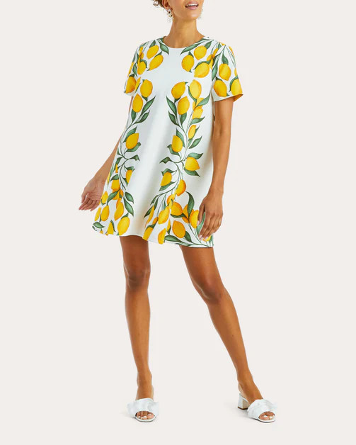 Cecily Reversible Mini Dress | Olivela