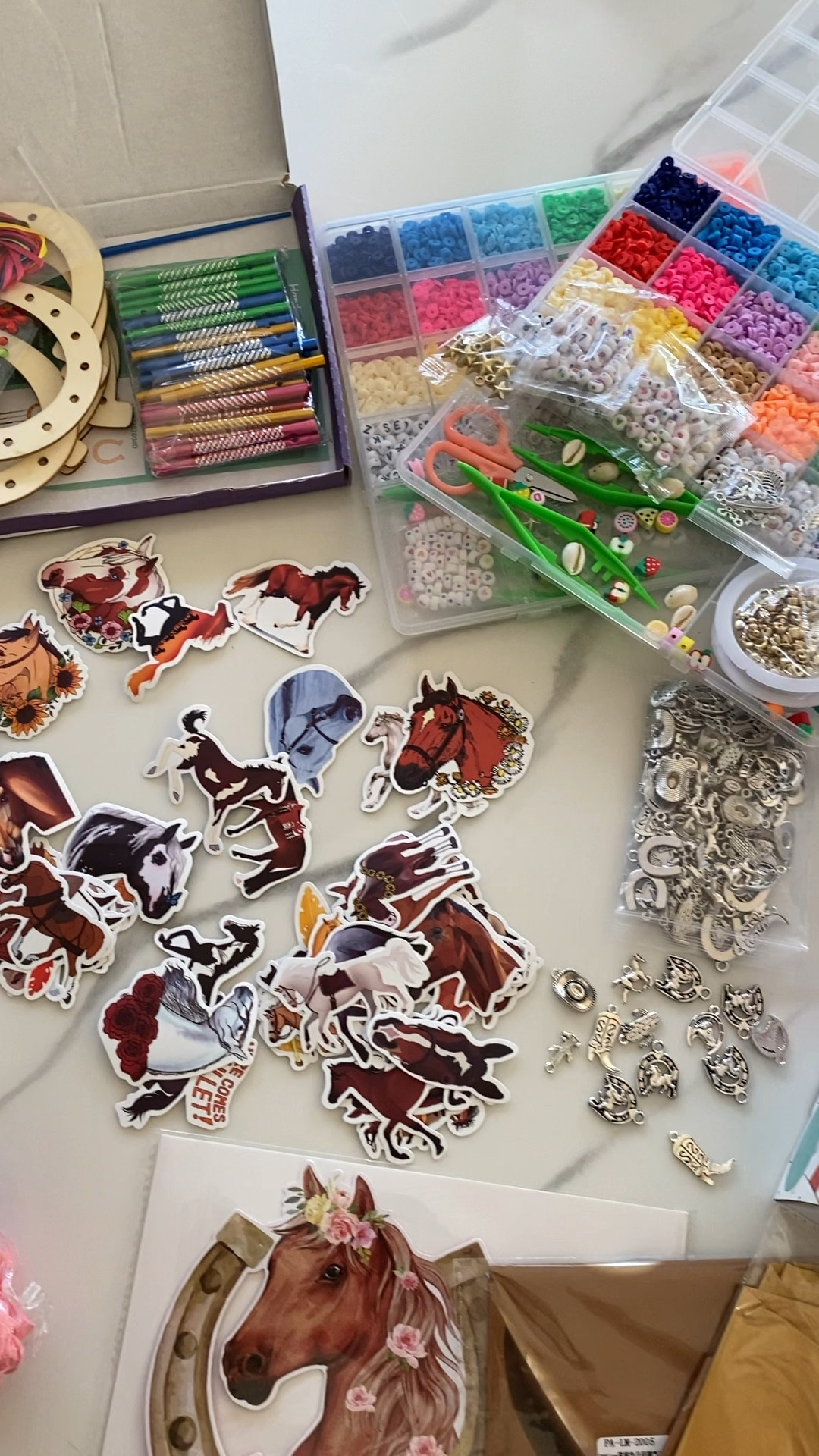 Horse themed girls birthday party ideas! 

#LTKParties #LTKKids #LTKVideo