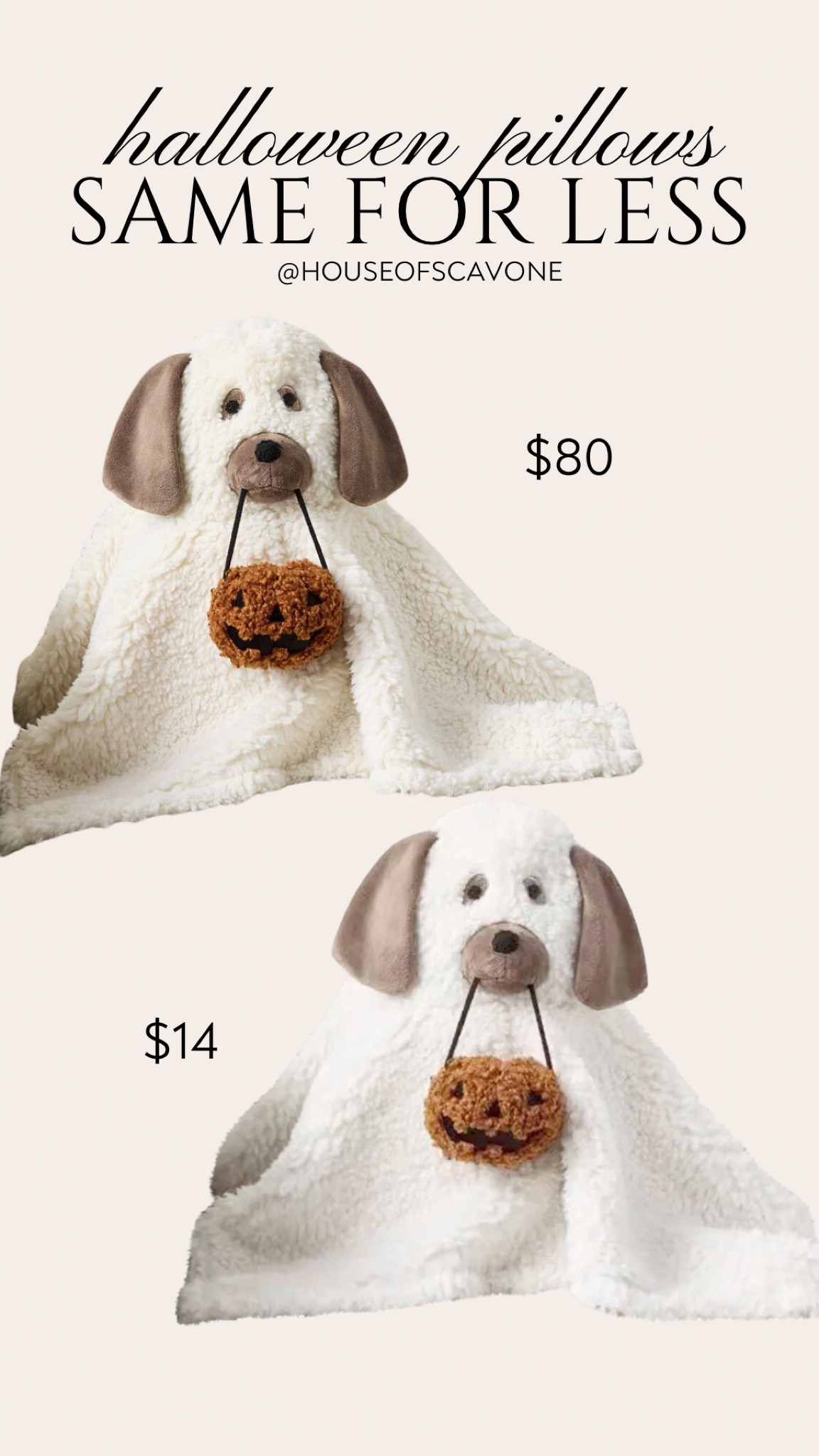 pottery barn Halloween pillow dupe #halloween #halloweenpillow #halloweendoop #halloweendupe #halloweendecor #homedecor #halloweenfinds #pillowfinds #pillow #pb #potterybarndupe 

#LTKHome #LTKFindsUnder50 #LTKSeasonal