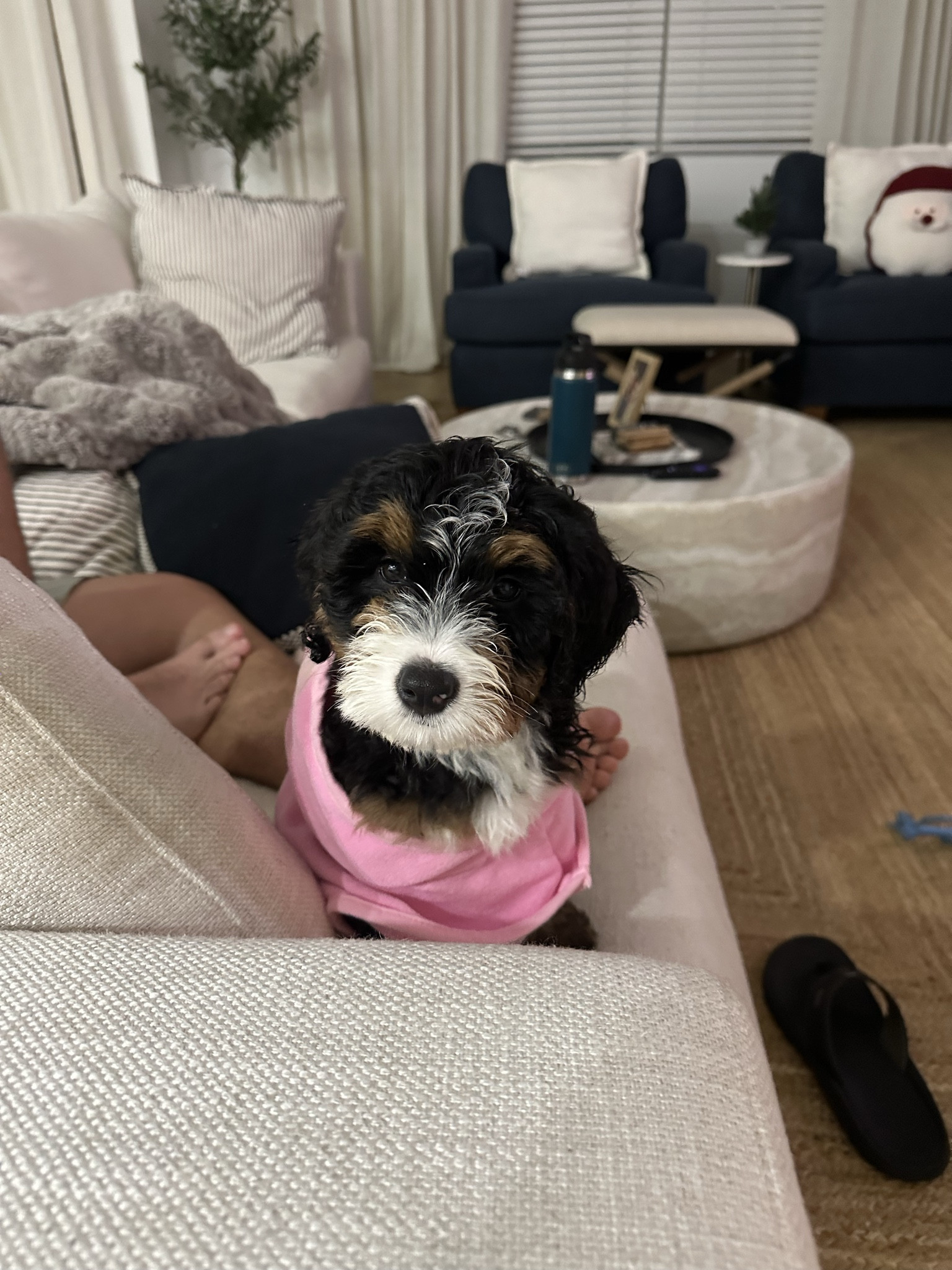 This flamingo-inspired bathrobe features a plush texture, soft pink fabric, and embroidered eye and beak details at the hood.
Wide hook-and-loop fastening around the belly allows for a secure, adjustable fit that’s also easy to put on and take off.
The soft terry cloth is machine washable so keeping it clean and ready to wear is a breeze.

#LTKFindsUnder50 #LTKSaleAlert #LTKHome