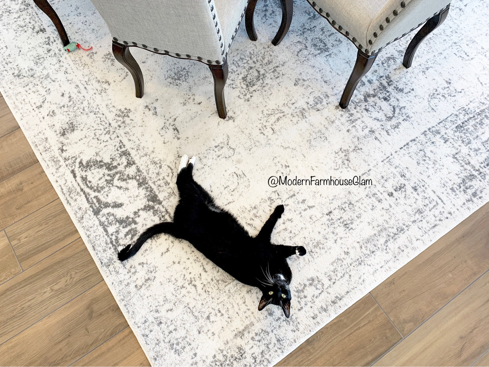 Neutral area rug at Modernfarmhouseglam white grey diningroom Livingroom home decor furniture wayfair sale 

#LTKhome #LTKsalealert #LTKFind