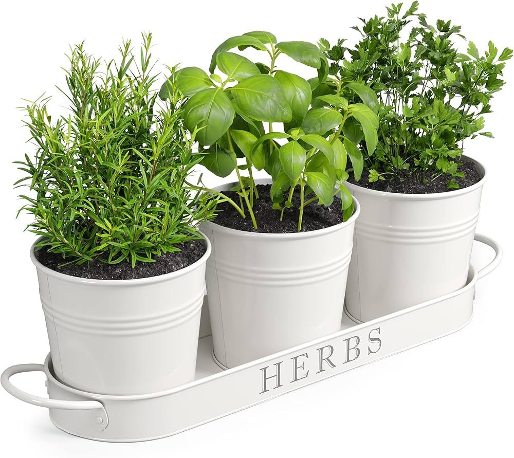 Barnyard Designs Indoor Herb Garden Planter Set with Tray, Metal Windowsill Plant Pots with Drain... | Amazon (US)