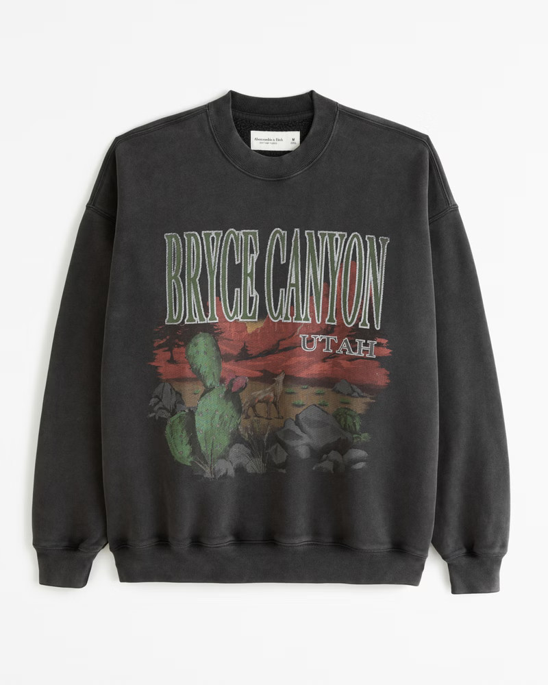 Abercrombie & Fitch Men's Bryce Canyon Graphic Crew Sweatshirt in Black - Size XS | Abercrombie & Fitch (US)