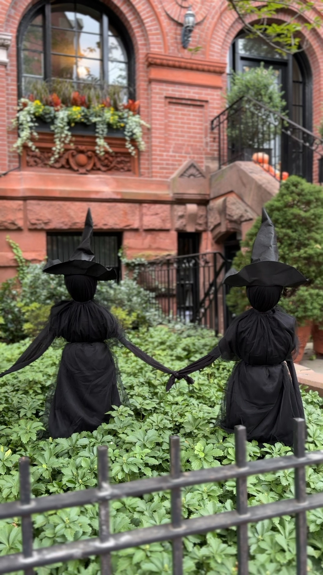3 witches for your front lawn! I love these Halloween decorations and found them for under $50! 

#LTKFindsUnder50 #LTKHalloween