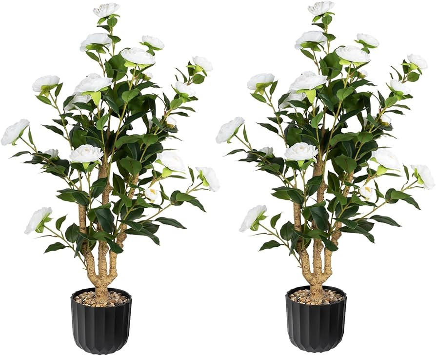 36” Artificial Camellia Tree 2 Packs, Faux Camellia Plant in Pebbles Pot with White Flowers, Gr... | Amazon (US)