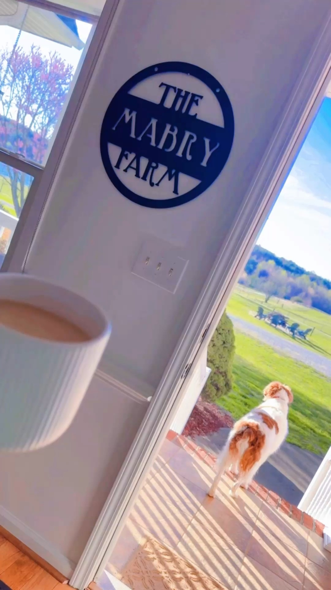 What a gorgeous morning here on the farm!! about to head out the door 🚪 to our weekly local Bible study 📖 group (& preschool class 💒  for J) and then probably the park for a picnic!! 🧺 Hope everyone has the best day!! 💖