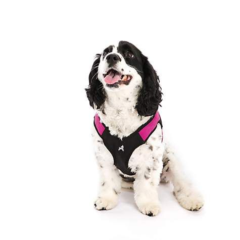 Gooby Escape Free Harness in Hot Pink, Medium | PETCO Animal Supplies