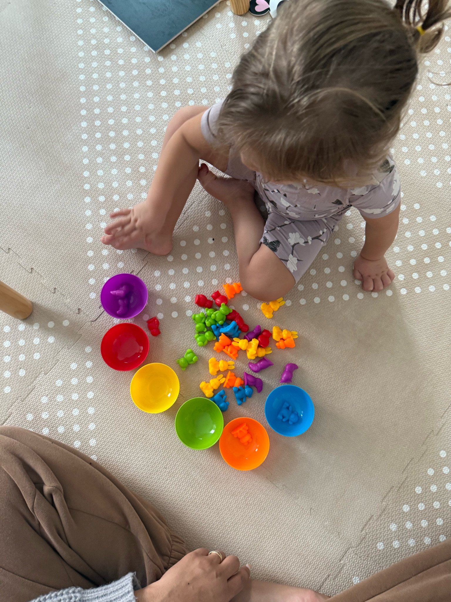Toddler sorting toy that we’re loving - great for sorting from colors, size, counting, and type 

#LTKBaby #LTKKids #LTKFamily