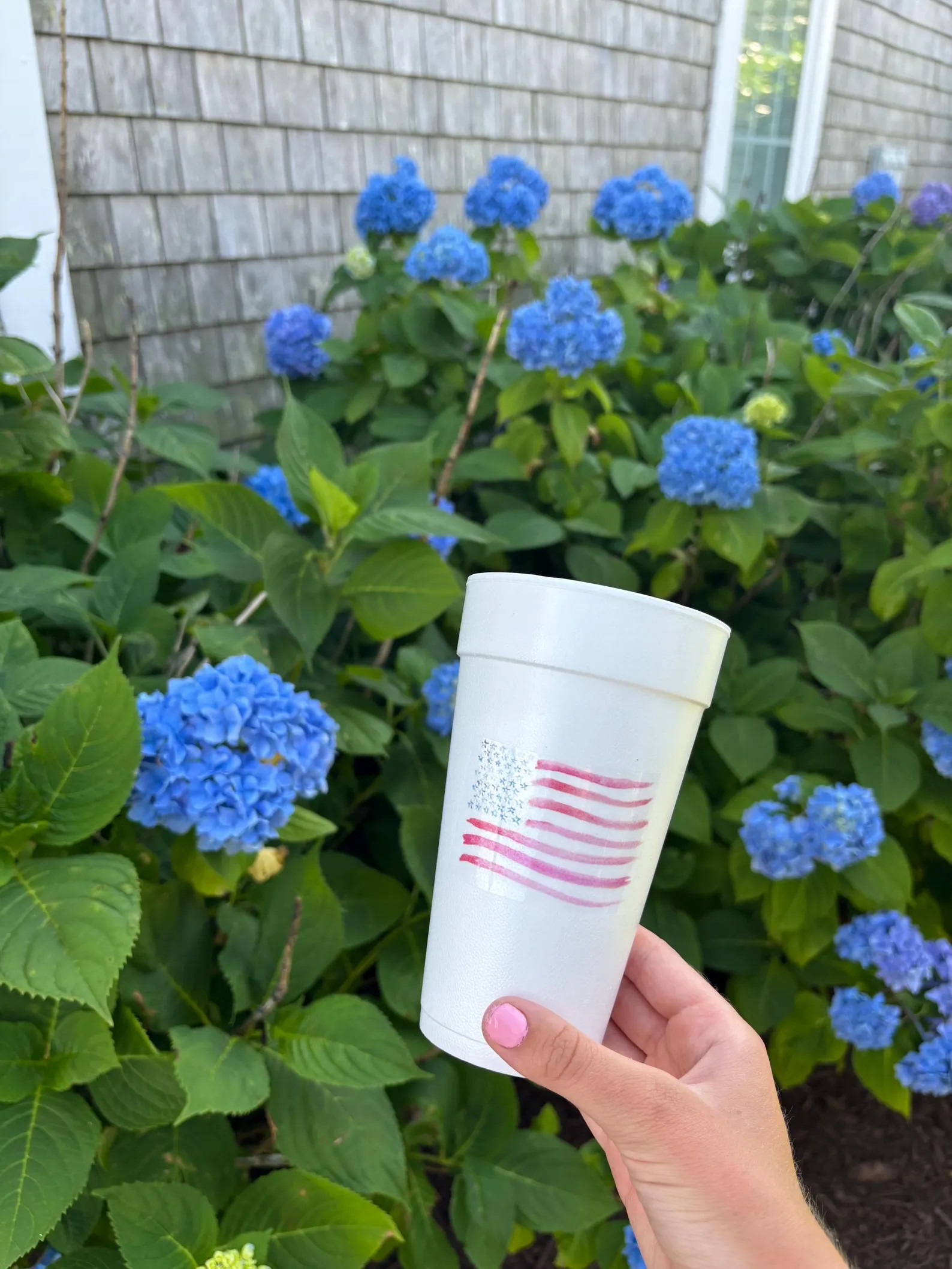 American Flag Styrofoam cups- set of 12 | Etsy (Global)
