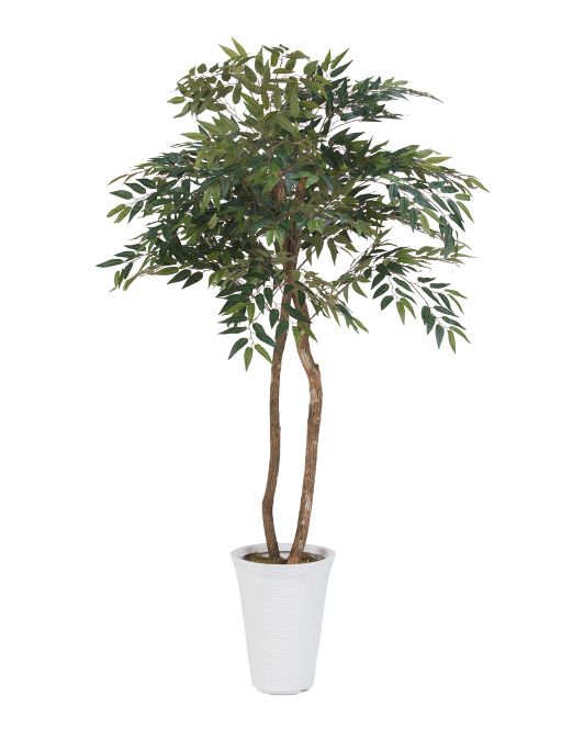 60in Simlax Tree With Real Bark Covered Trunk | TJ Maxx