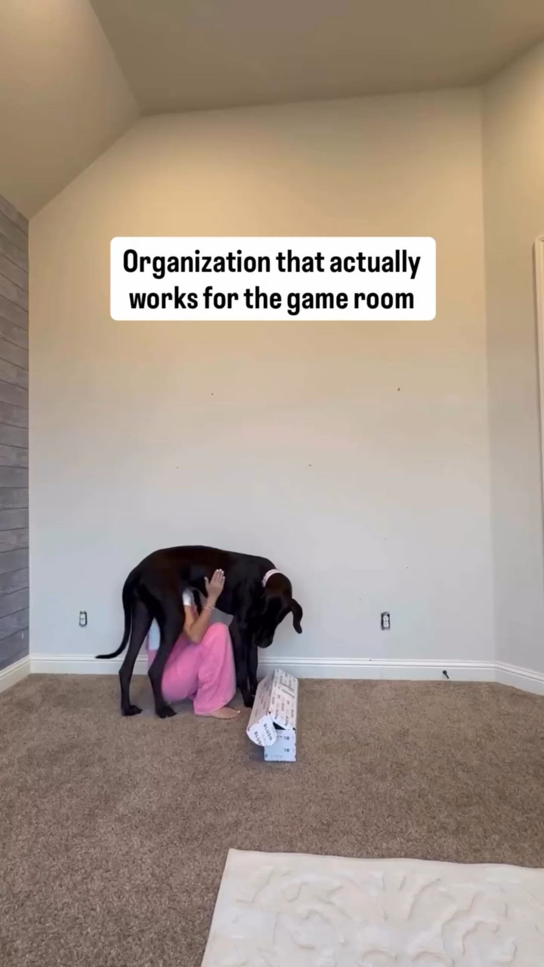 Game room organization favorite! Hold everything nice and neat. Plus the kids can maintain it too!🩷

Game organizers. Video games. Playroom organization favorite. Organizers for the playroom. Mom hack. Playroom organizers. 

#LTKGiftGuide #LTKHome #LTKKids