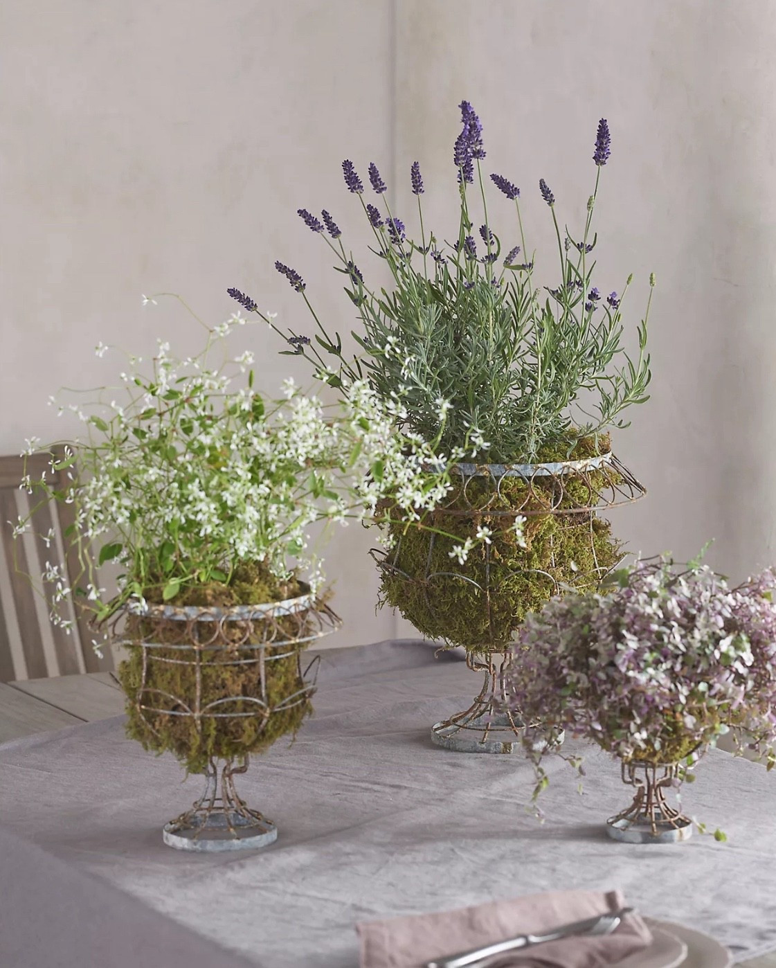 SCALLOPED WIRE URN PLANTER
3 different sizes;  $26-$68 price range 
6in
9in
12in
and is on back order and available June 18 2026

I love these for your home, yard or for a whimsical outdoor wedding!