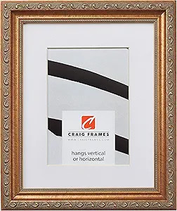 Craig Frames Ancien Ornate, 18 x 24 Inch Antique Gold Picture Frame Matted to Display a 12 x 18 I... | Amazon (US)