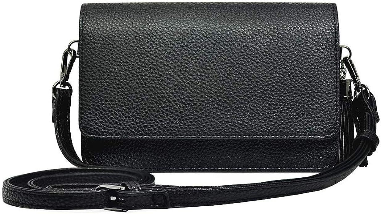 Small Crossbody Bag Cell Phone Purse Wallet Lightweight Roomy Travel Passport Bag Crossbody Handb... | Amazon (US)