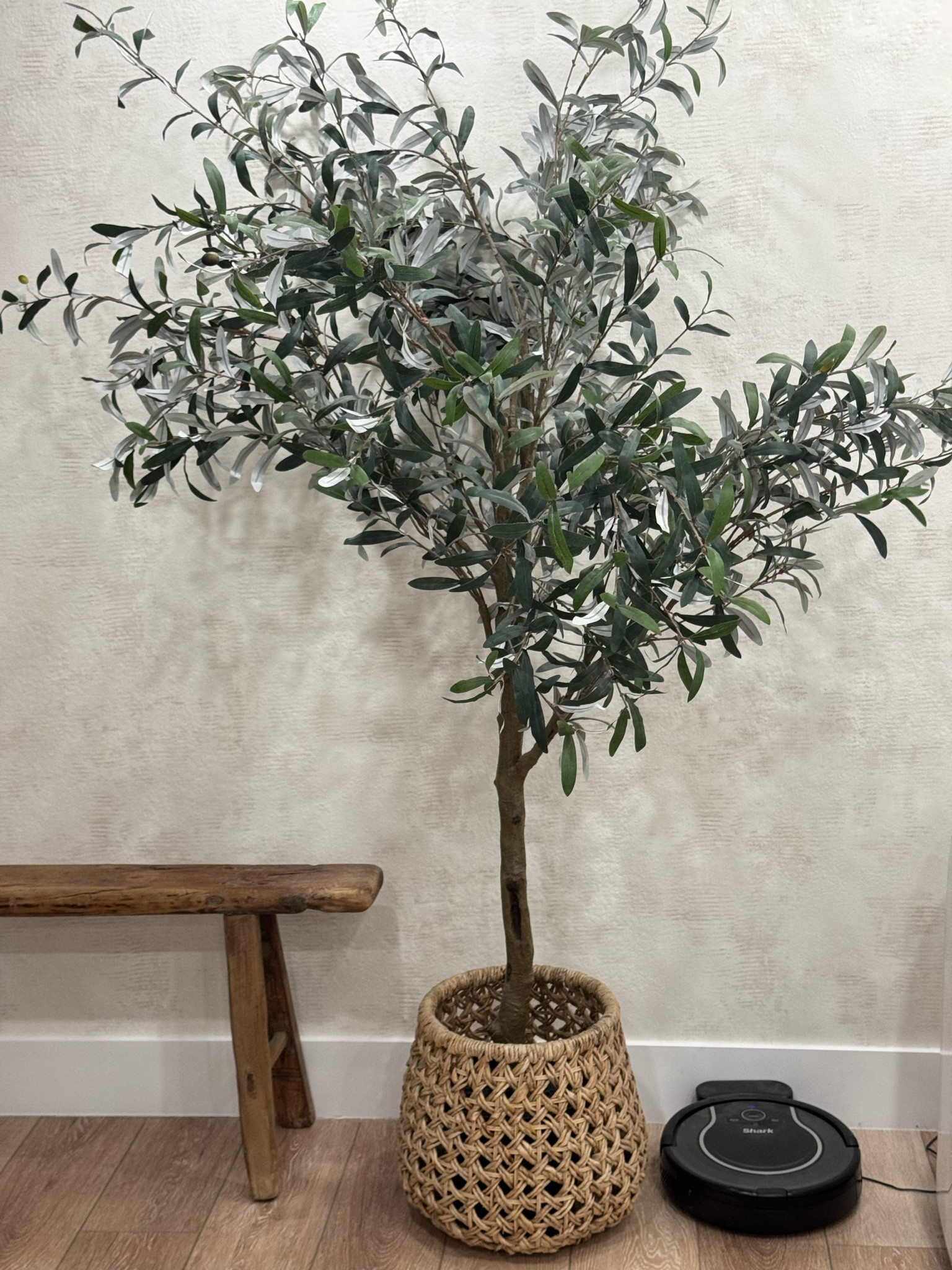 Olive tree 🫒 

#LTKFallSale #LTKHome #LTKStyleTip