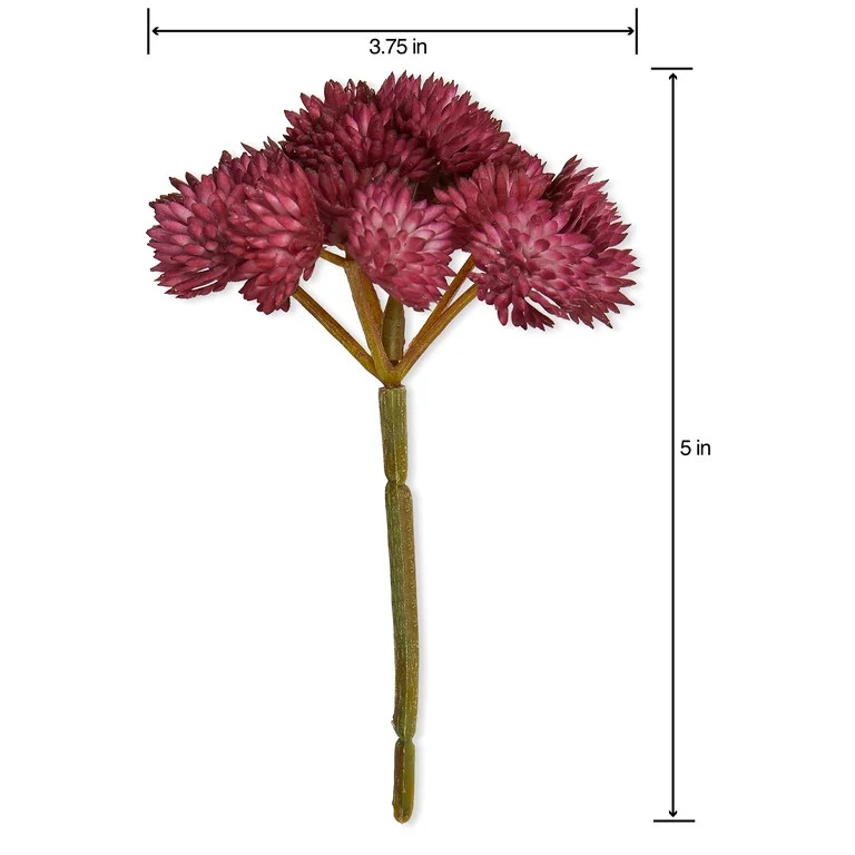 Mainstays Artificial Succulent Pick 3.75 inch x 5 inch Purple Sedum | Walmart (US)