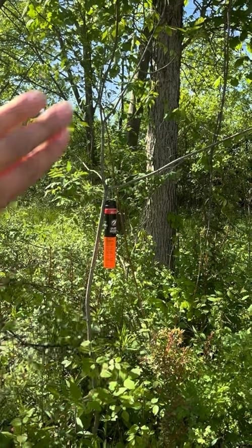 My best mosquito tip for living out in the country!!

#LTKHome
