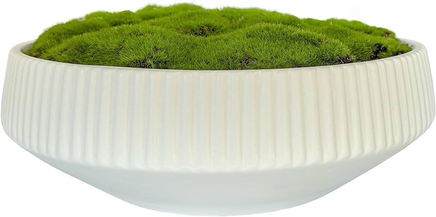 Moss Bowl | 12" Diameter | Artificial | Lightweight Ceramic | Fluted Bowl | Home Décor | Amazon (US)